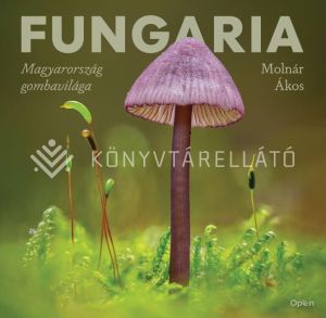 Kép: Fungaria - Magyarország gombavilága