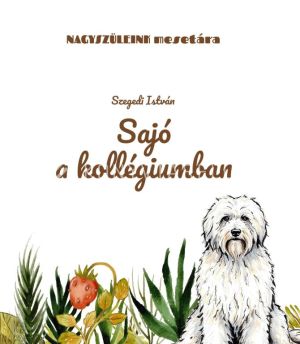 Kép: Sajó a kollégiumban