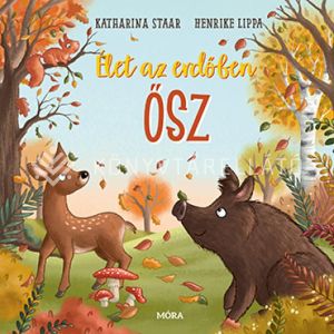 Kép: Élet az erdőben - Ősz