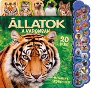 Kép: 20 hang - Állatok a vadonban