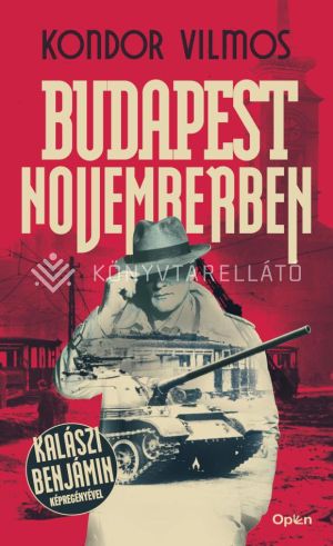 Kép: Budapest novemberben