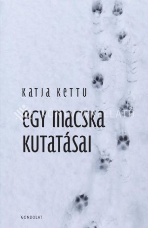 Kép: Egy macska kutatásai