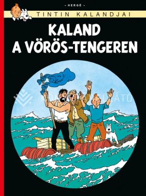 Kép: Tintin kalandjai 19. - Kaland a Vörös-tengeren  - képregény