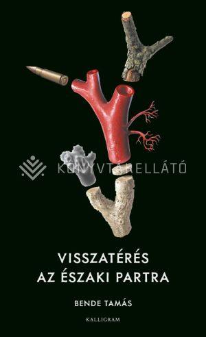 Kép: Visszatérés az északi partra