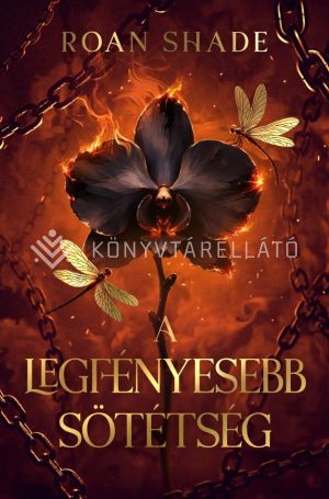 Kép: A legfényesebb sötétség