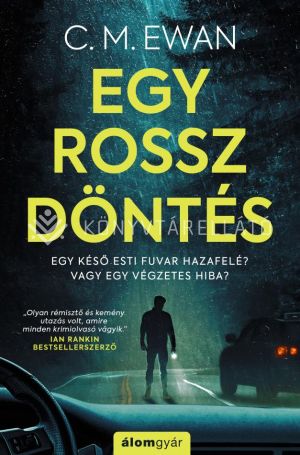 Kép: Egy rossz döntés