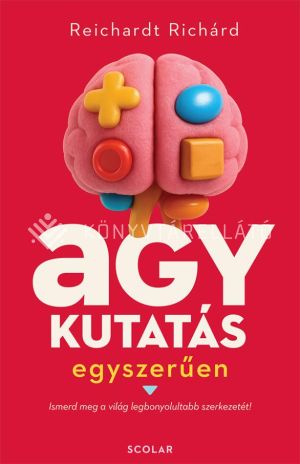 Kép: Agykutatás egyszerűen