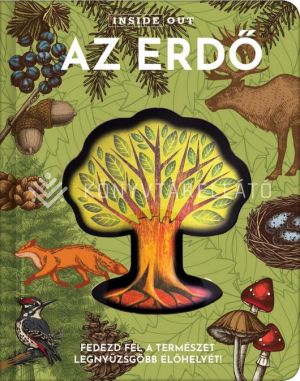 Kép: Az erdő
