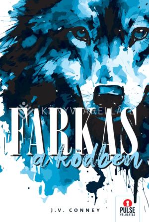 Kép: Farkas a ködben