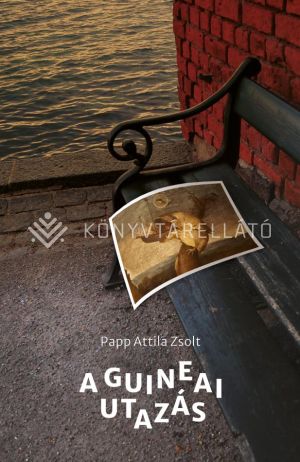 Kép: A guineai utazás