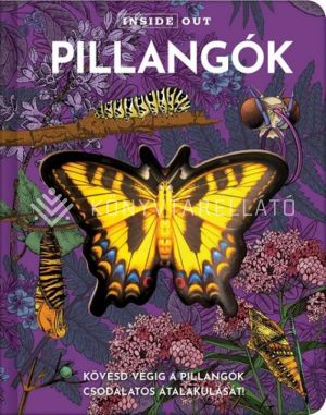 Kép: Pillangók