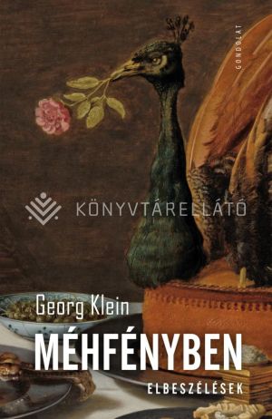 Kép: Méhfényben