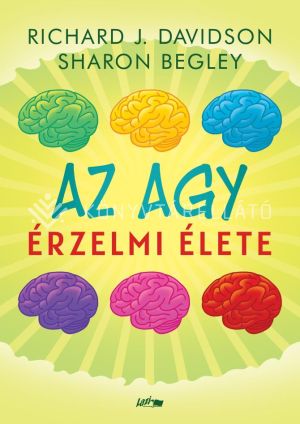 Kép: Az agy érzelmi élete