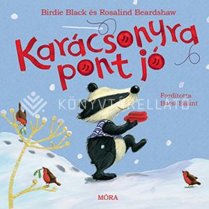 Kép: Karácsonyra pont jó